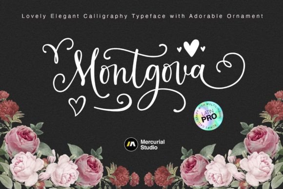 Montgova: A Script Amp That Earns Its Space