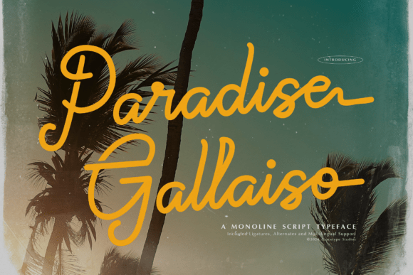 Paradise Gallaiso: A Breezy Script Font for Scroll-Stopping Campaigns