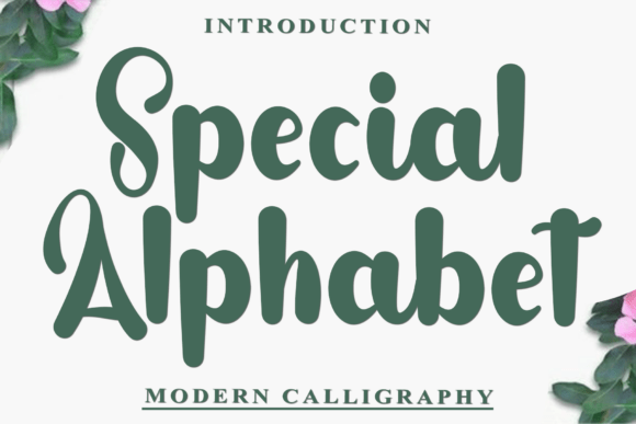 Special Alphabet: A Modern Calligraphy Typeface for Handmade Charm