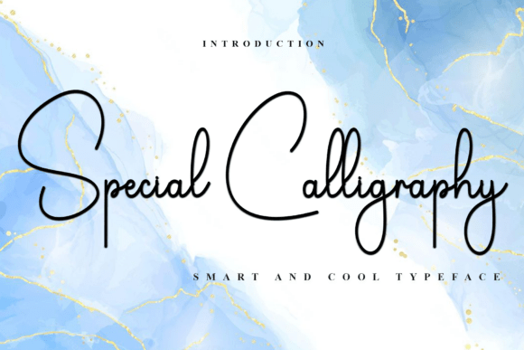 Special Calligraphy: A Festive Script Font for Digital Branding